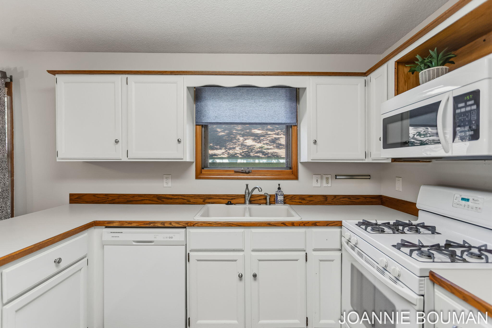 1323 Floral Street Holland MI 49423