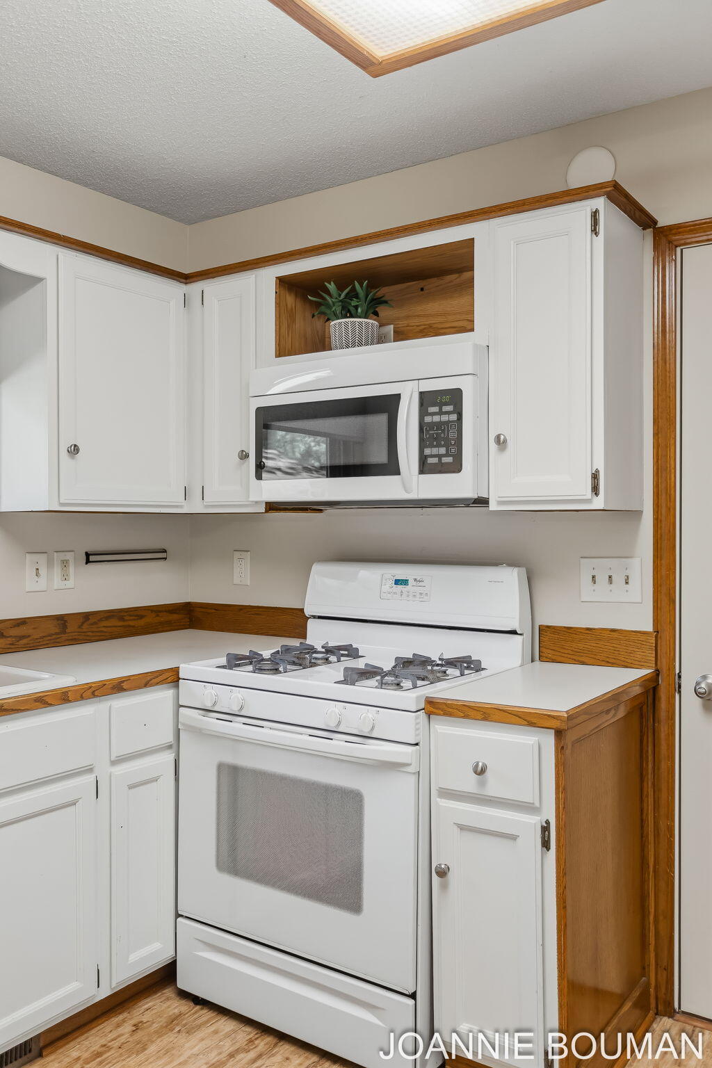 1323 Floral Street Holland MI 49423