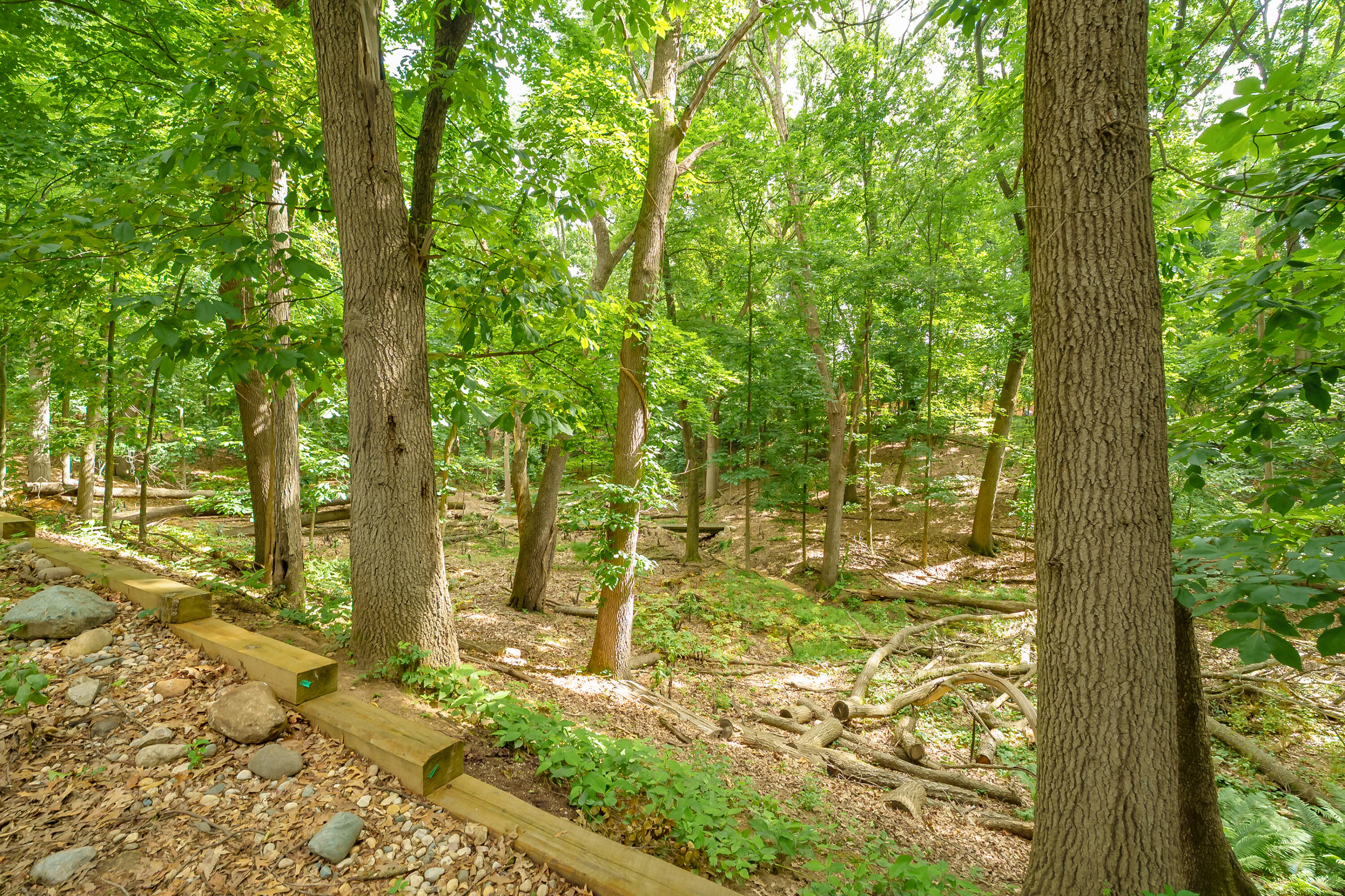 3720 Blackberry Lane Kalamazoo MI 49008