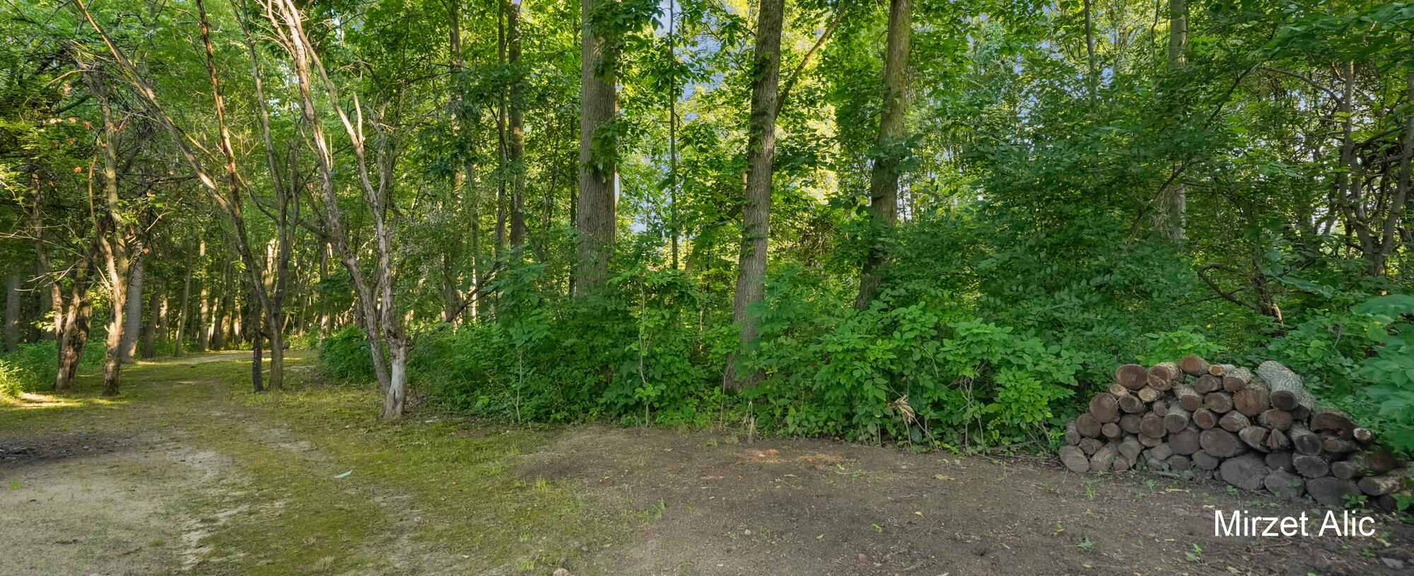 5220 Canyon River Drive NE Ada MI 49301