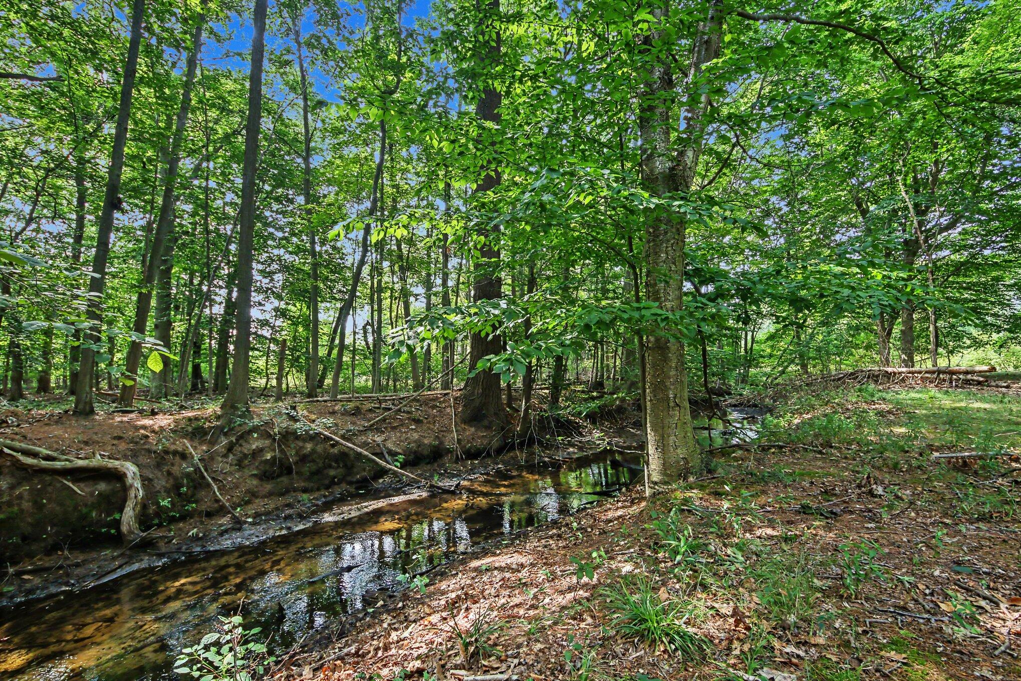 6700 Wildwood Drive West Olive MI 49460