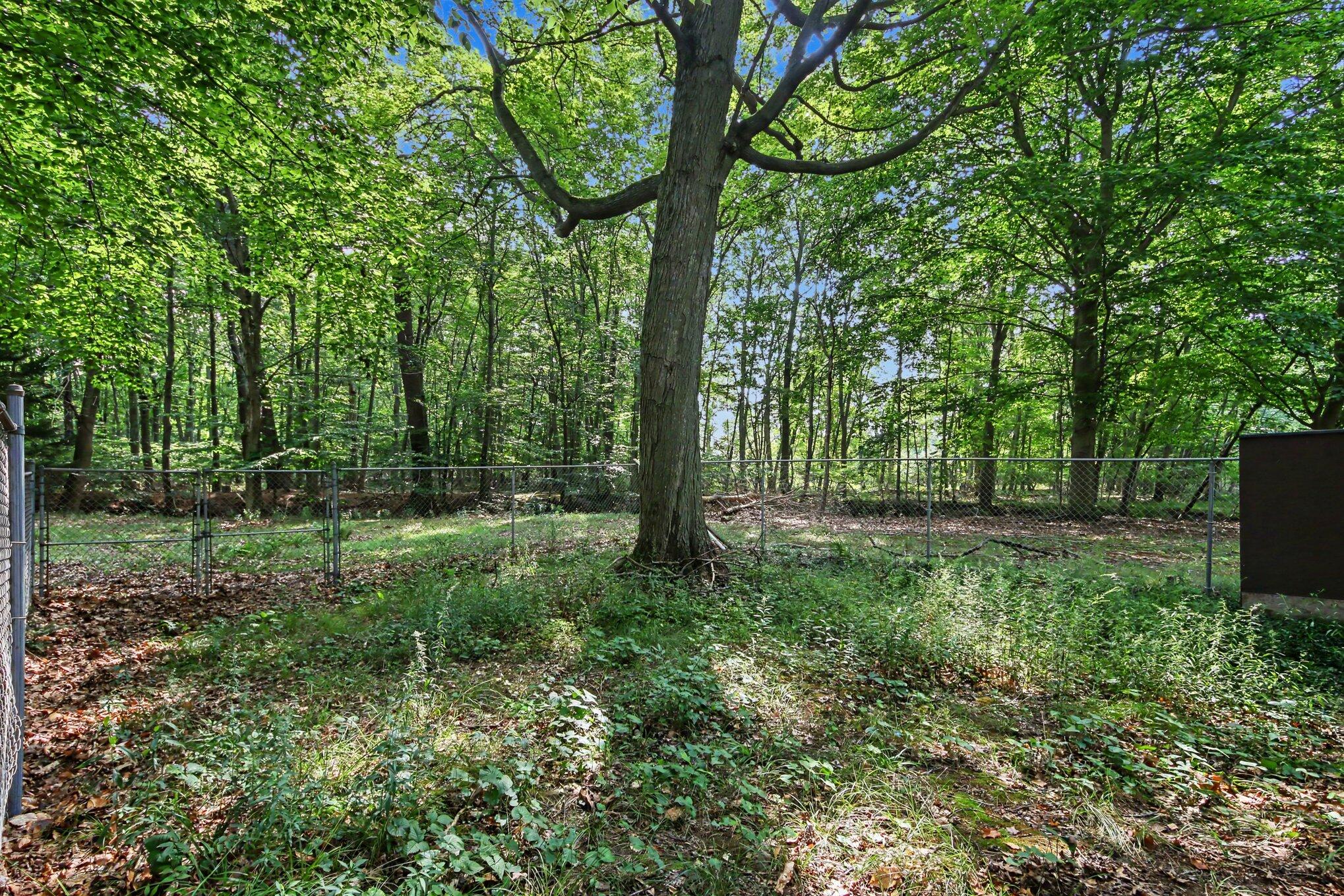 6700 Wildwood Drive West Olive MI 49460