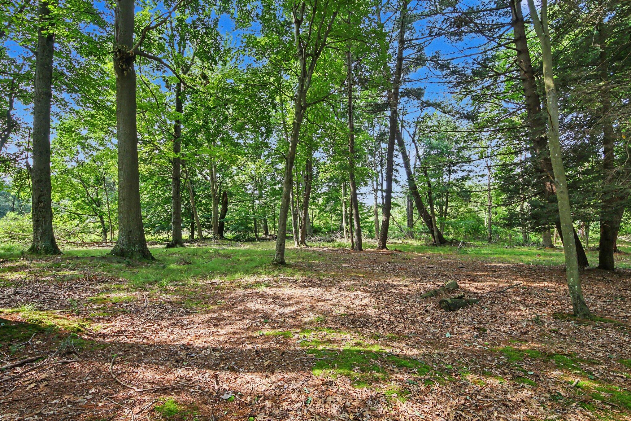 6700 Wildwood Drive West Olive MI 49460