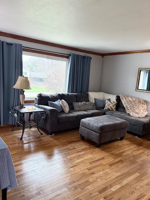 5586 Wendzel Drive Coloma MI 49038