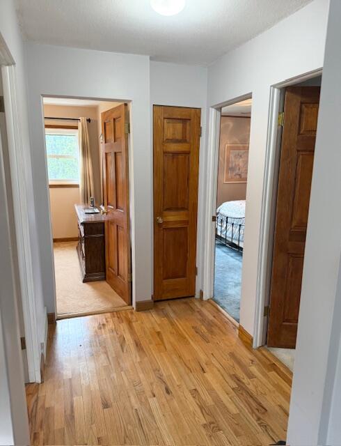 5586 Wendzel Drive Coloma MI 49038
