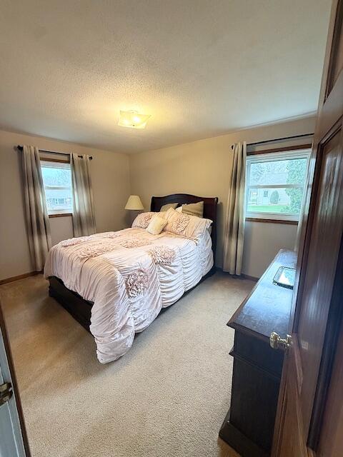 5586 Wendzel Drive Coloma MI 49038