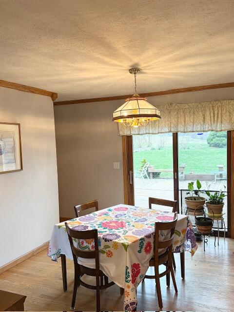 5586 Wendzel Drive Coloma MI 49038