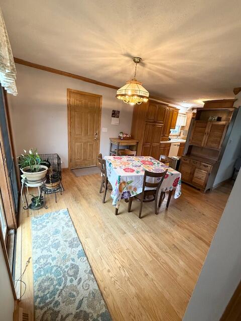 5586 Wendzel Drive Coloma MI 49038