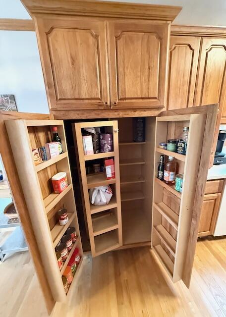5586 Wendzel Drive Coloma MI 49038