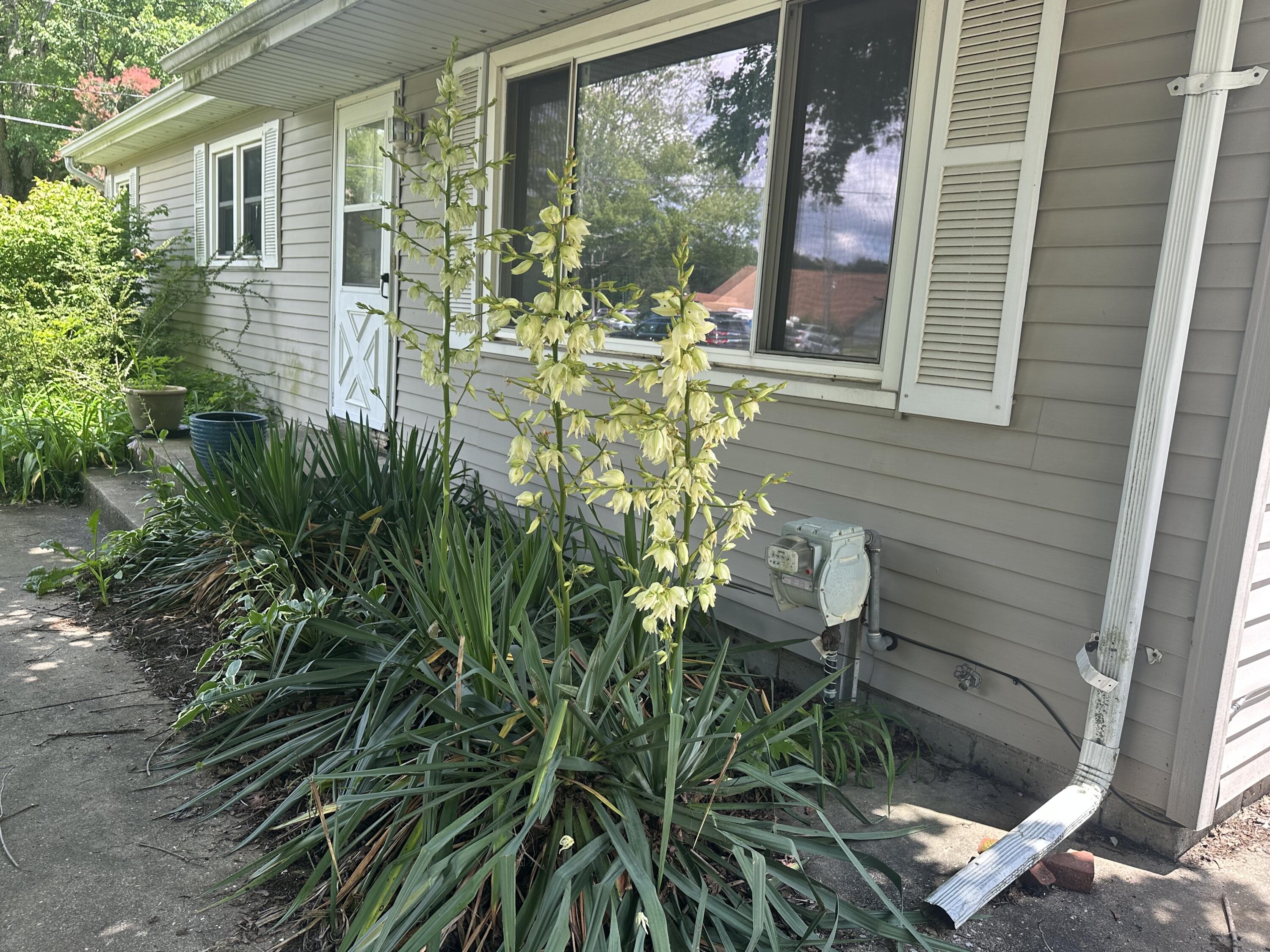 1560 Magnolia Street Kalamazoo MI 49048