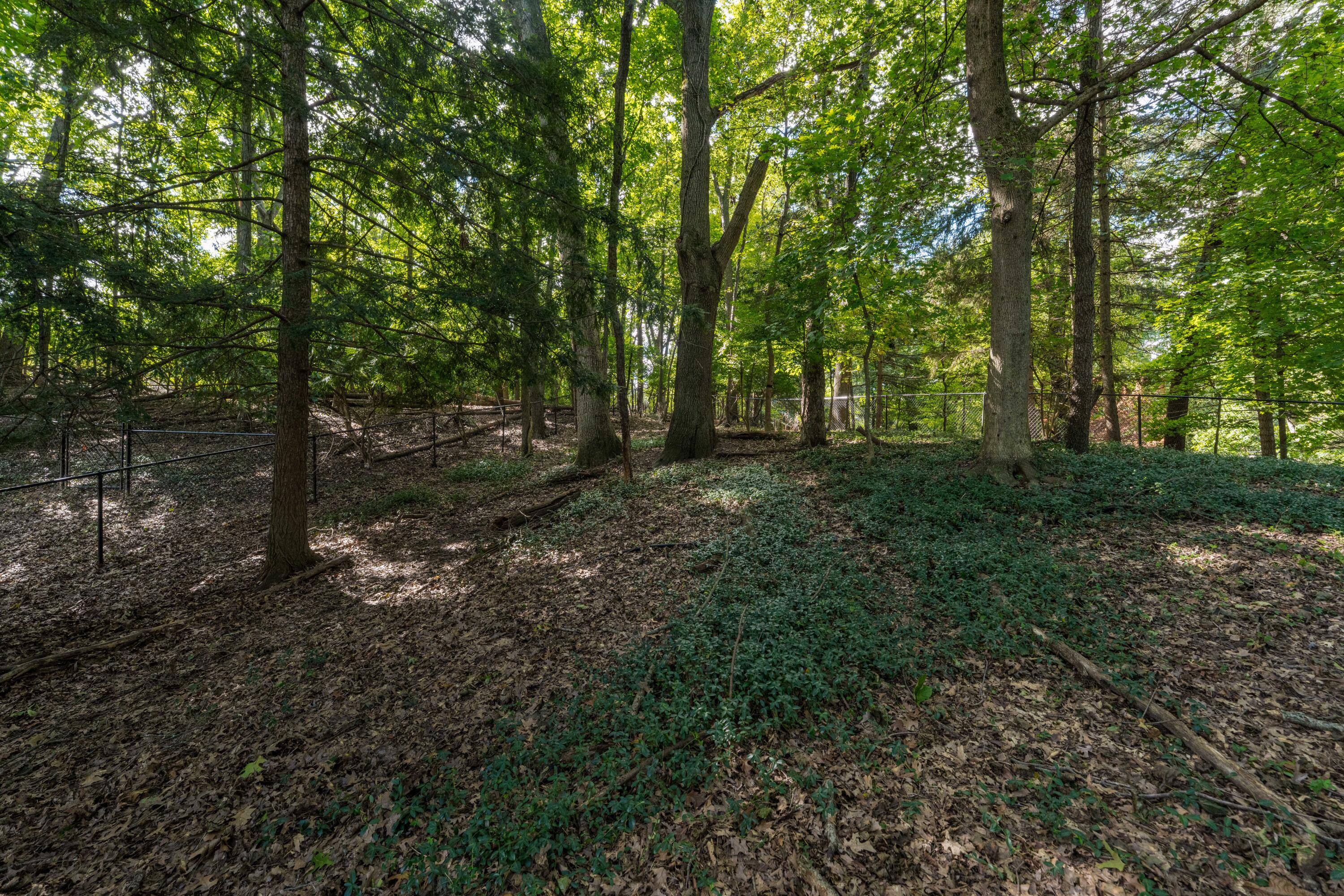 2146 Treehaven Drive Kalamazoo MI 49008