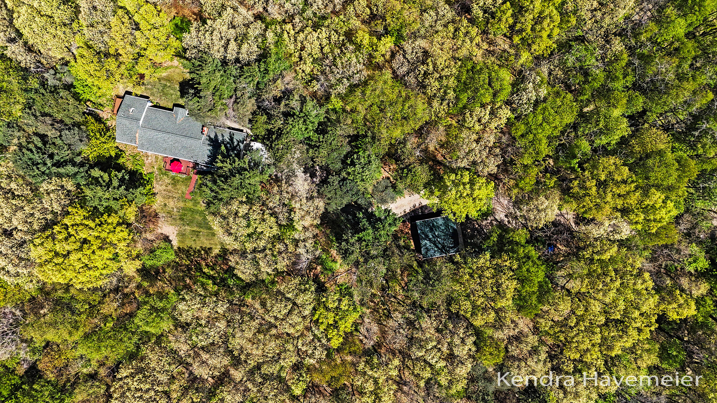 8261 Bush Drive NE Rockford MI 49341