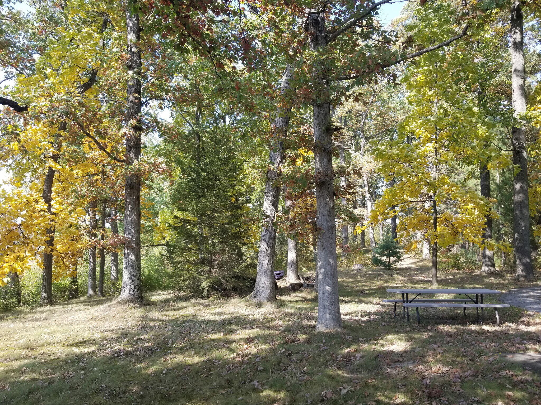 5770 W Us Highway 12 Buchanan MI 49107