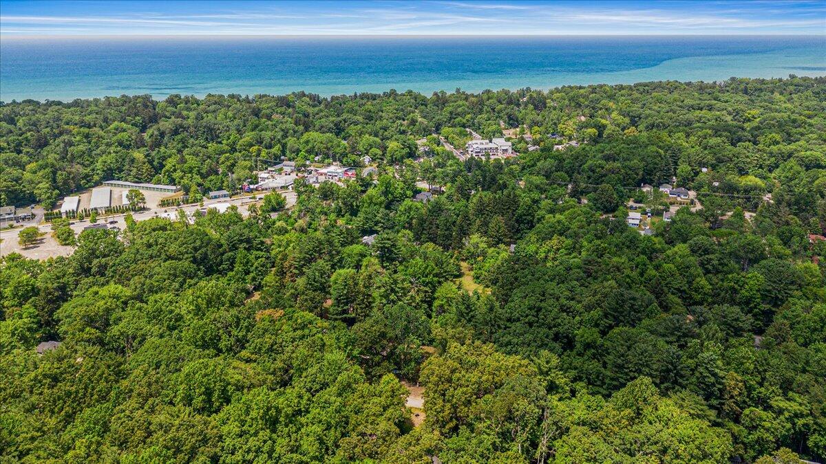 16253 1st Lane Union Pier MI 49129