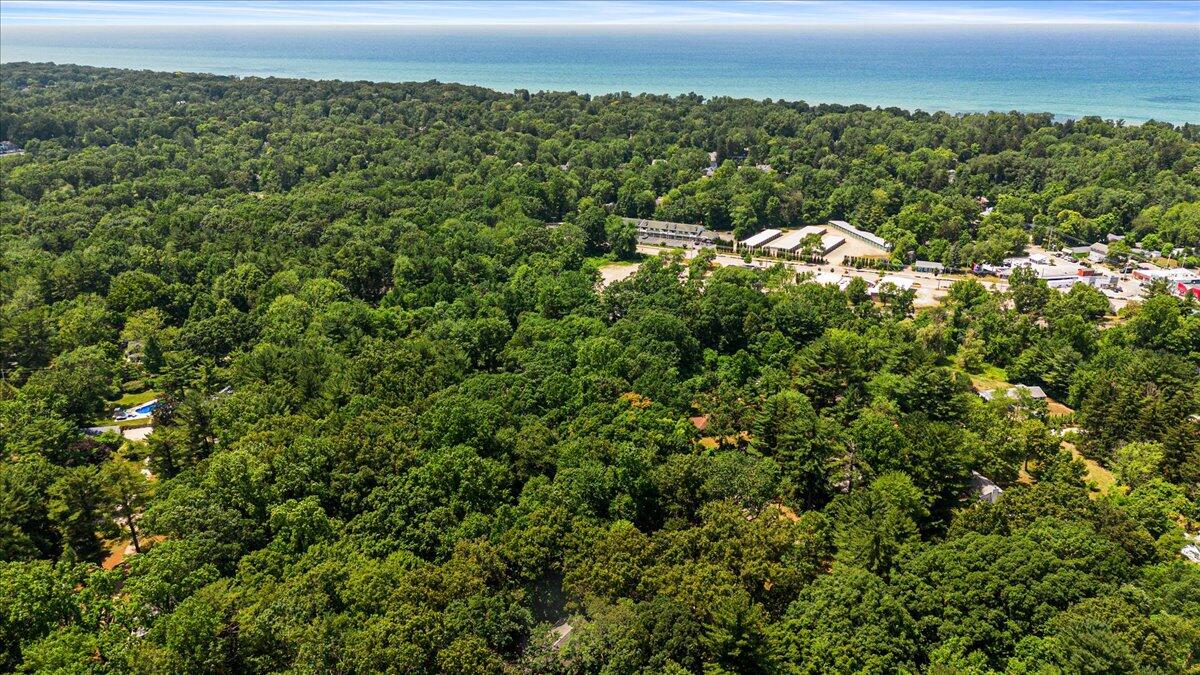 16253 1st Lane Union Pier MI 49129
