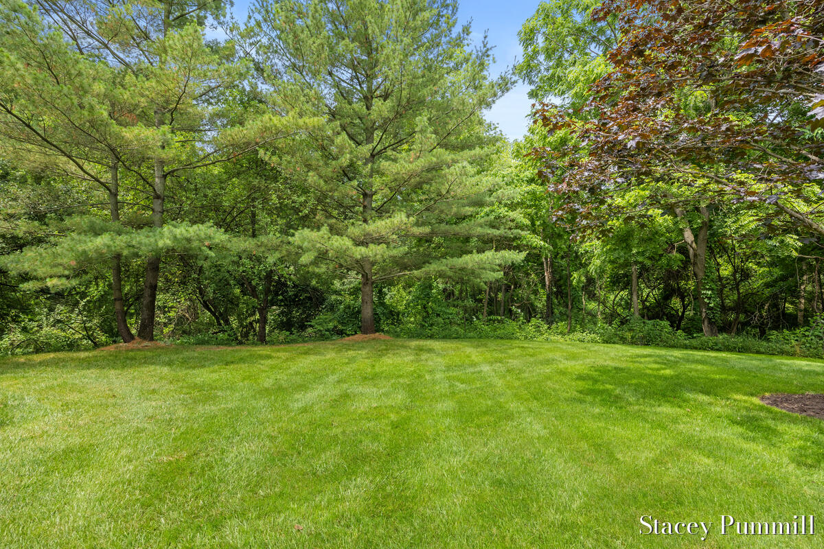 9171 Conservancy Drive NE Ada MI 49301