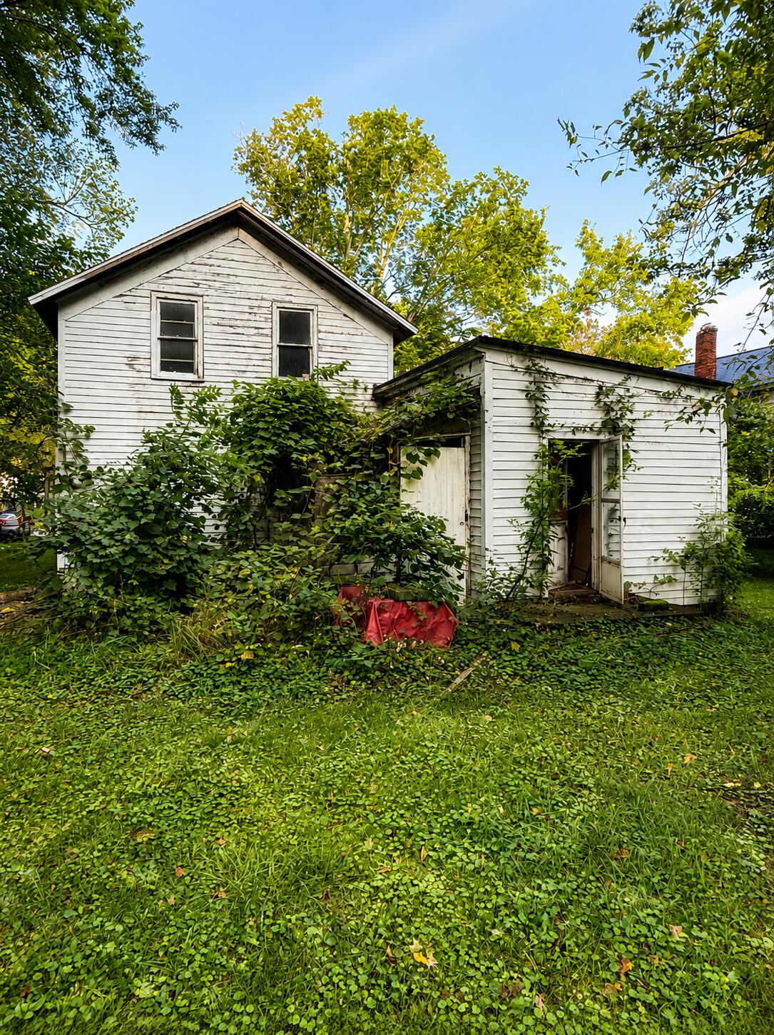 113 S Red Bud Trail N Buchanan MI 49107
