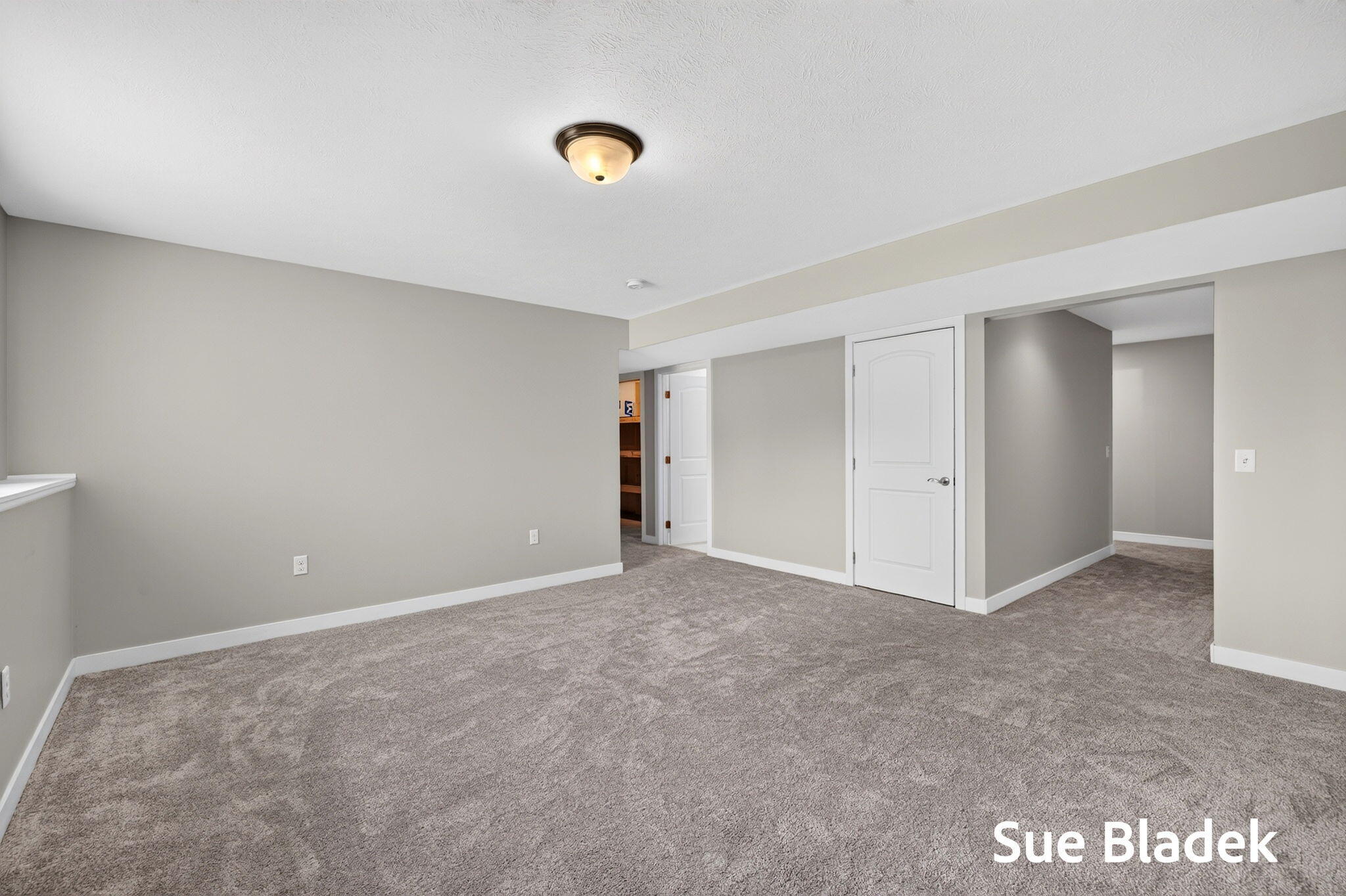 3716 Hickoryrow Court Holland MI 49424