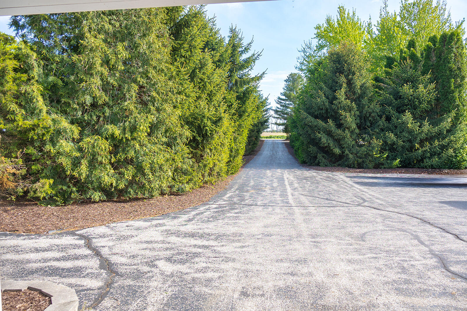 5251 Spring Creek Road Three Oaks MI 49128