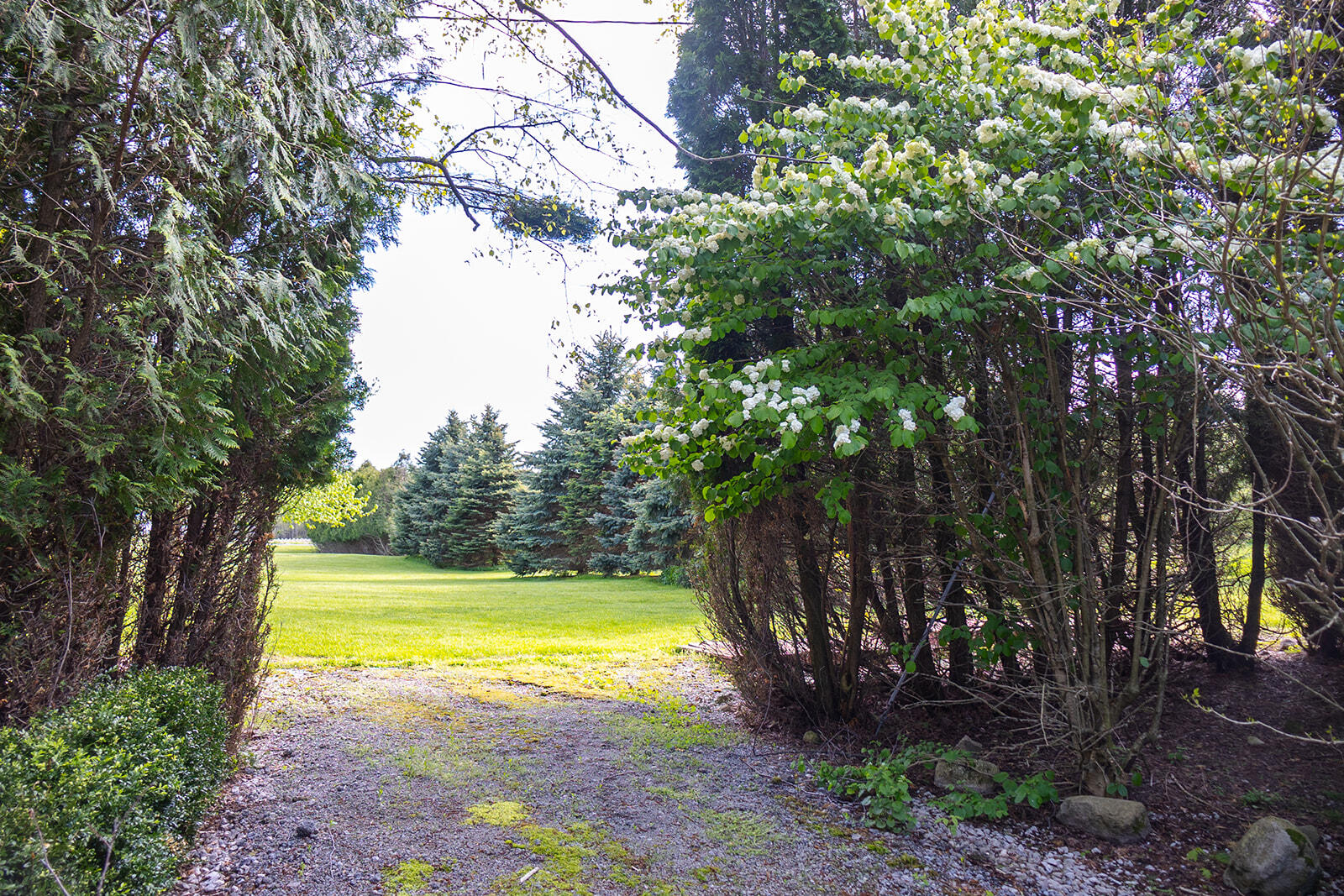 5251 Spring Creek Road Three Oaks MI 49128