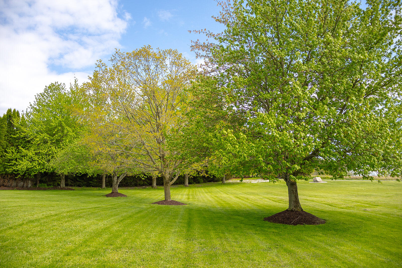 5251 Spring Creek Road Three Oaks MI 49128