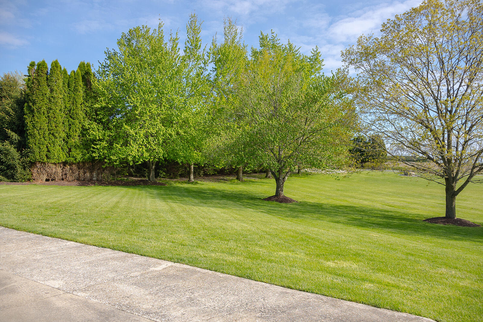 5251 Spring Creek Road Three Oaks MI 49128