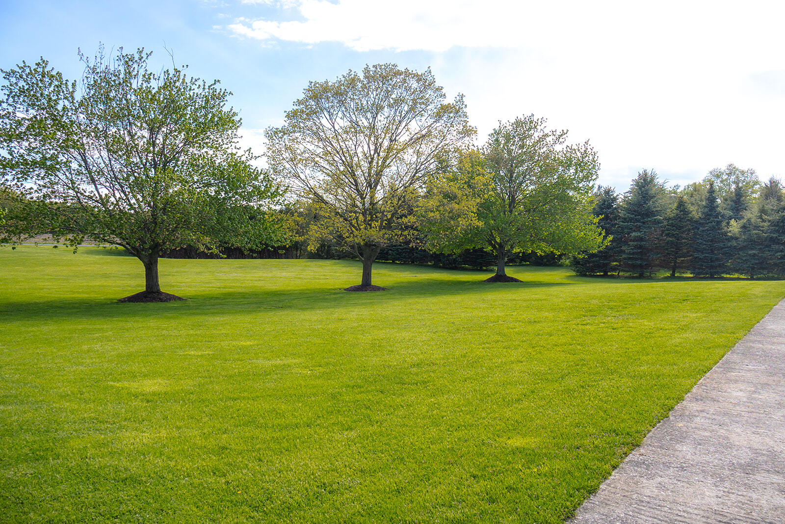 5251 Spring Creek Road Three Oaks MI 49128