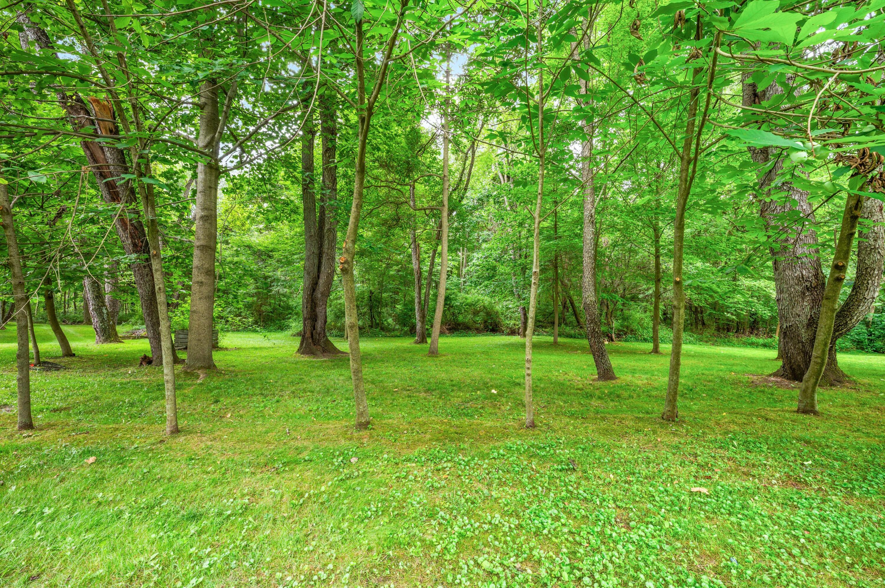 55704 Penn Road Cassopolis MI 49031