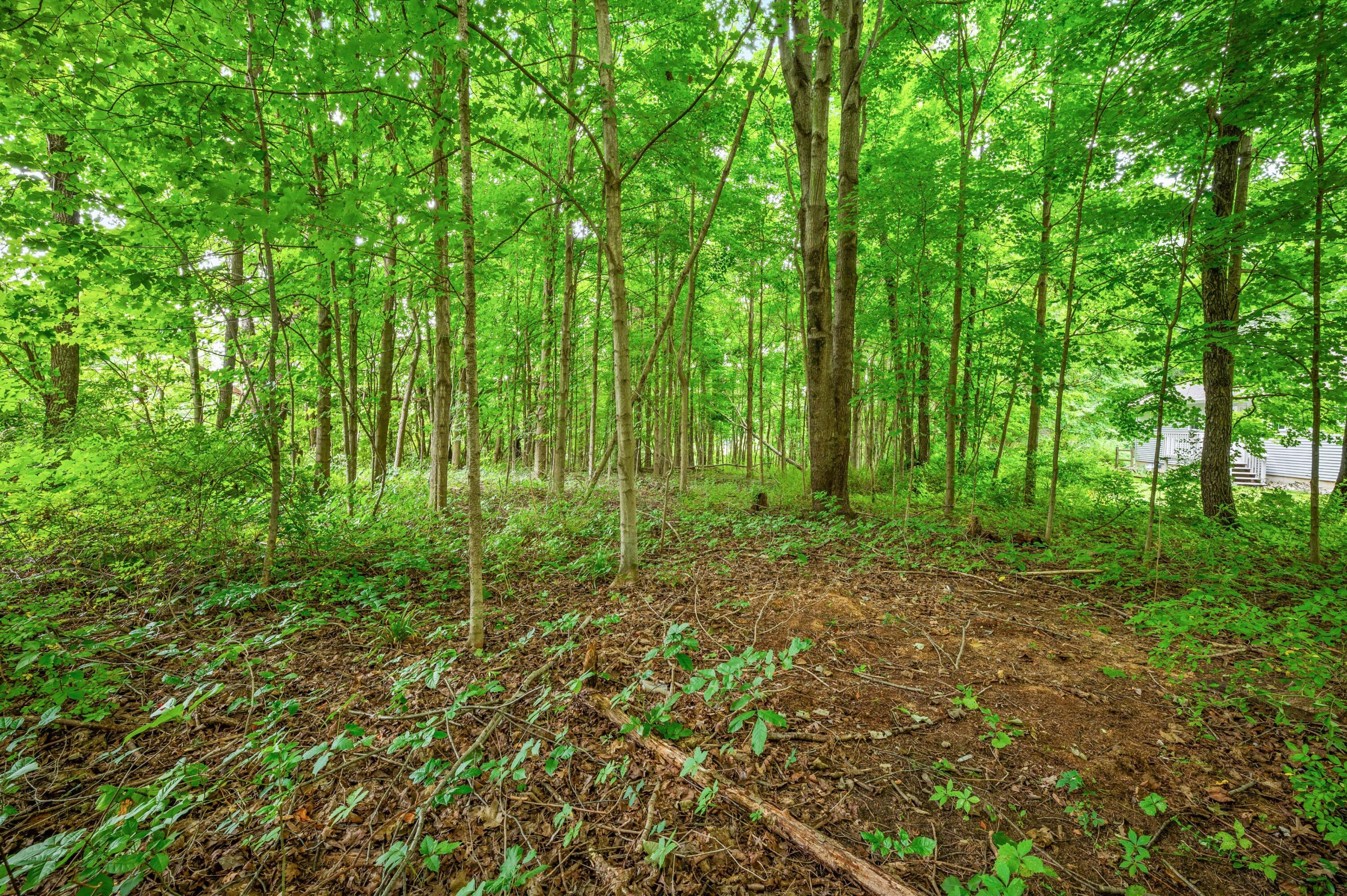 55704 Penn Road Cassopolis MI 49031
