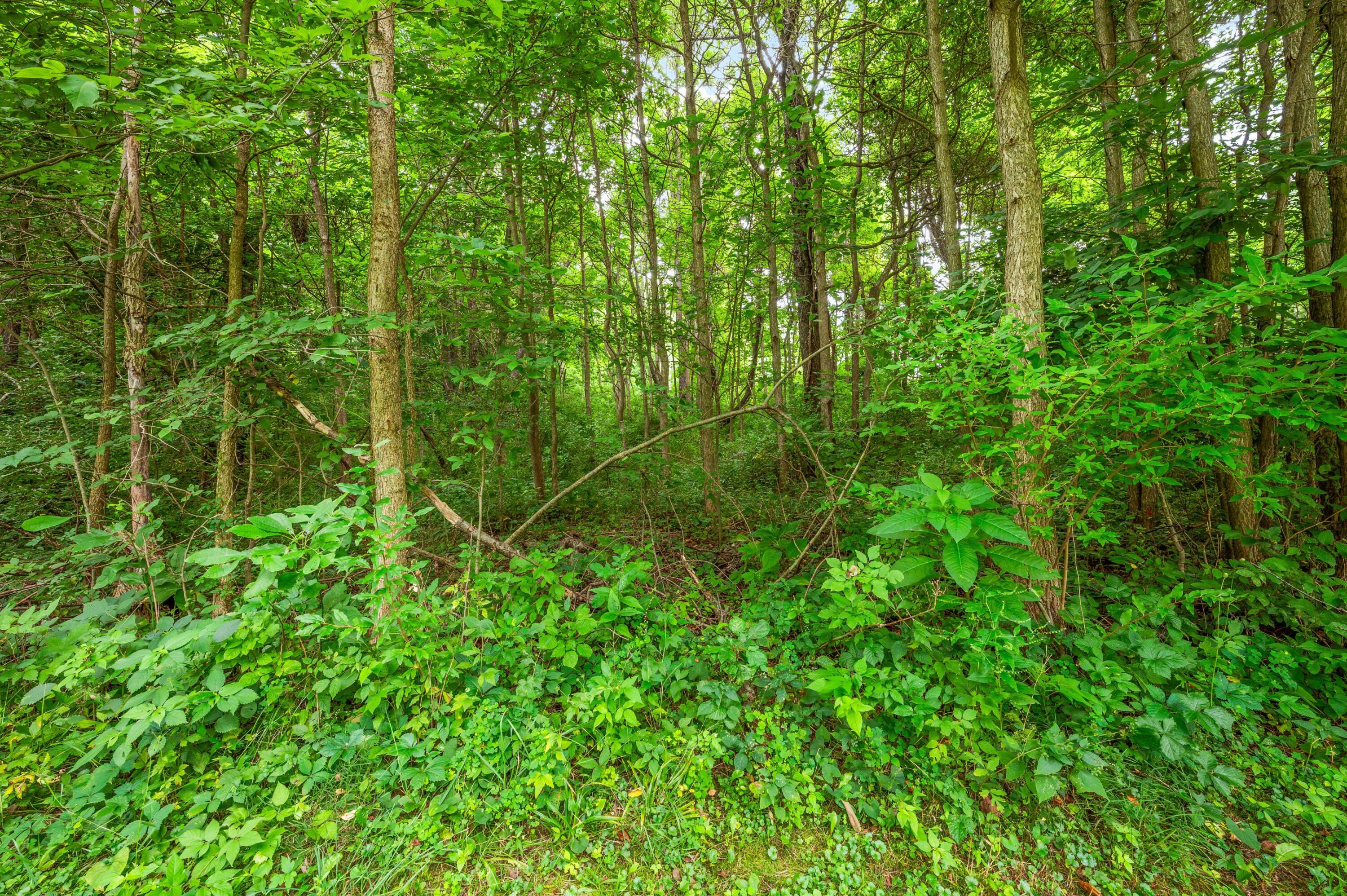 55704 Penn Road Cassopolis MI 49031