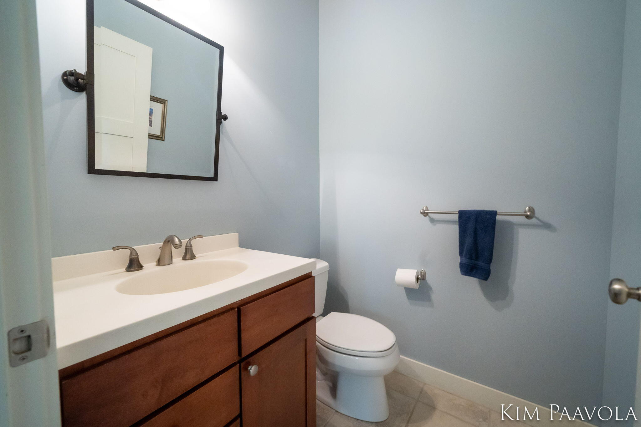 3099 Pickford Drive SE Ada MI 49301