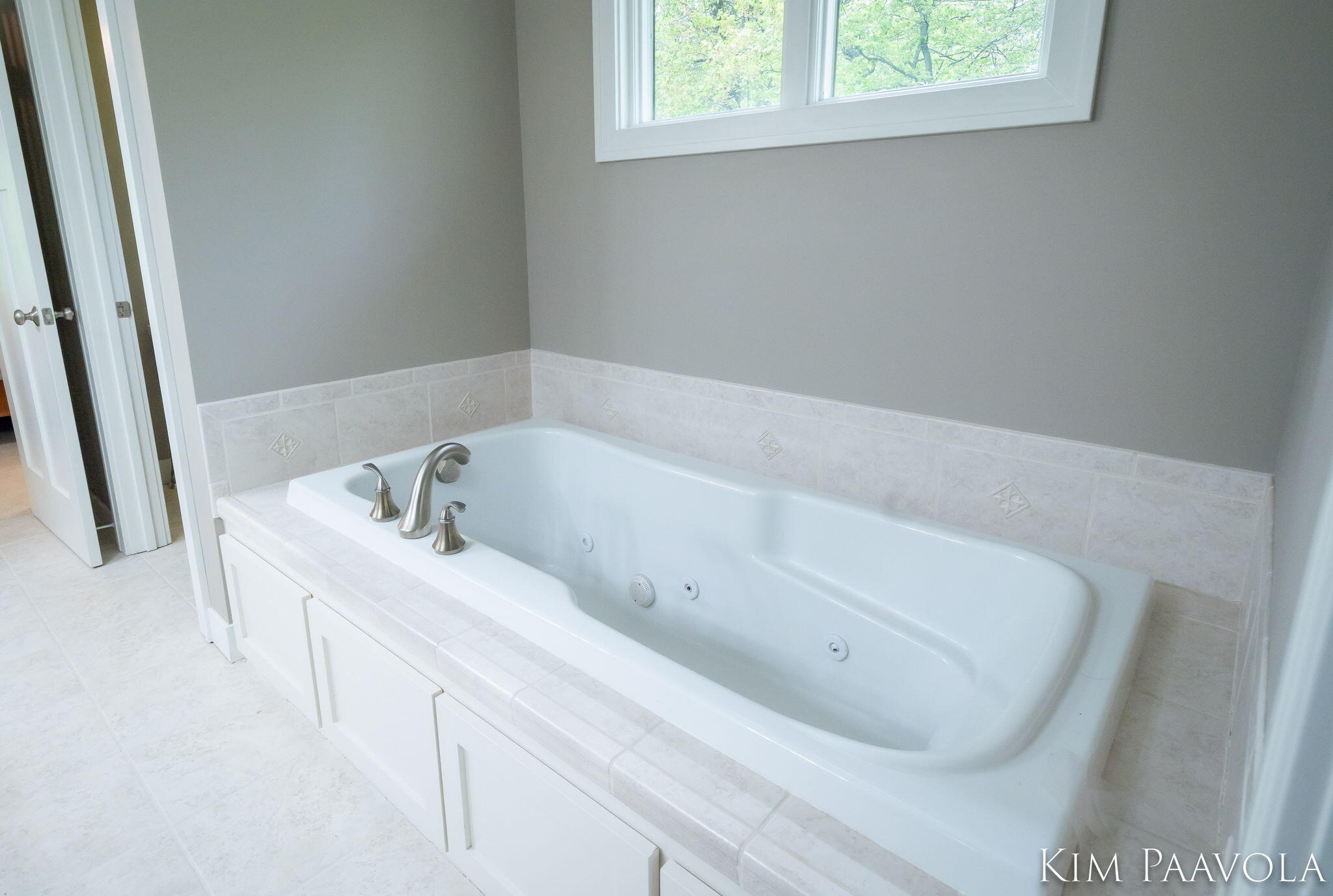 3099 Pickford Drive SE Ada MI 49301