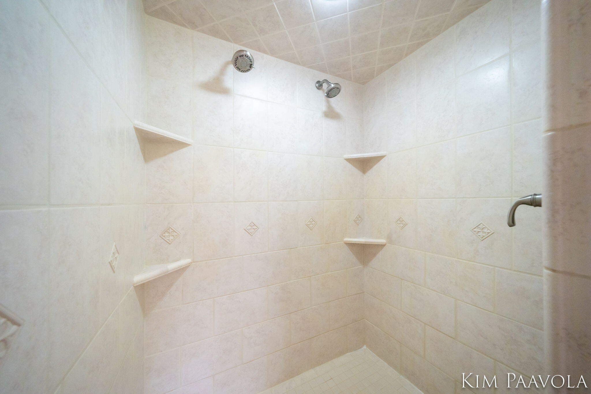 3099 Pickford Drive SE Ada MI 49301