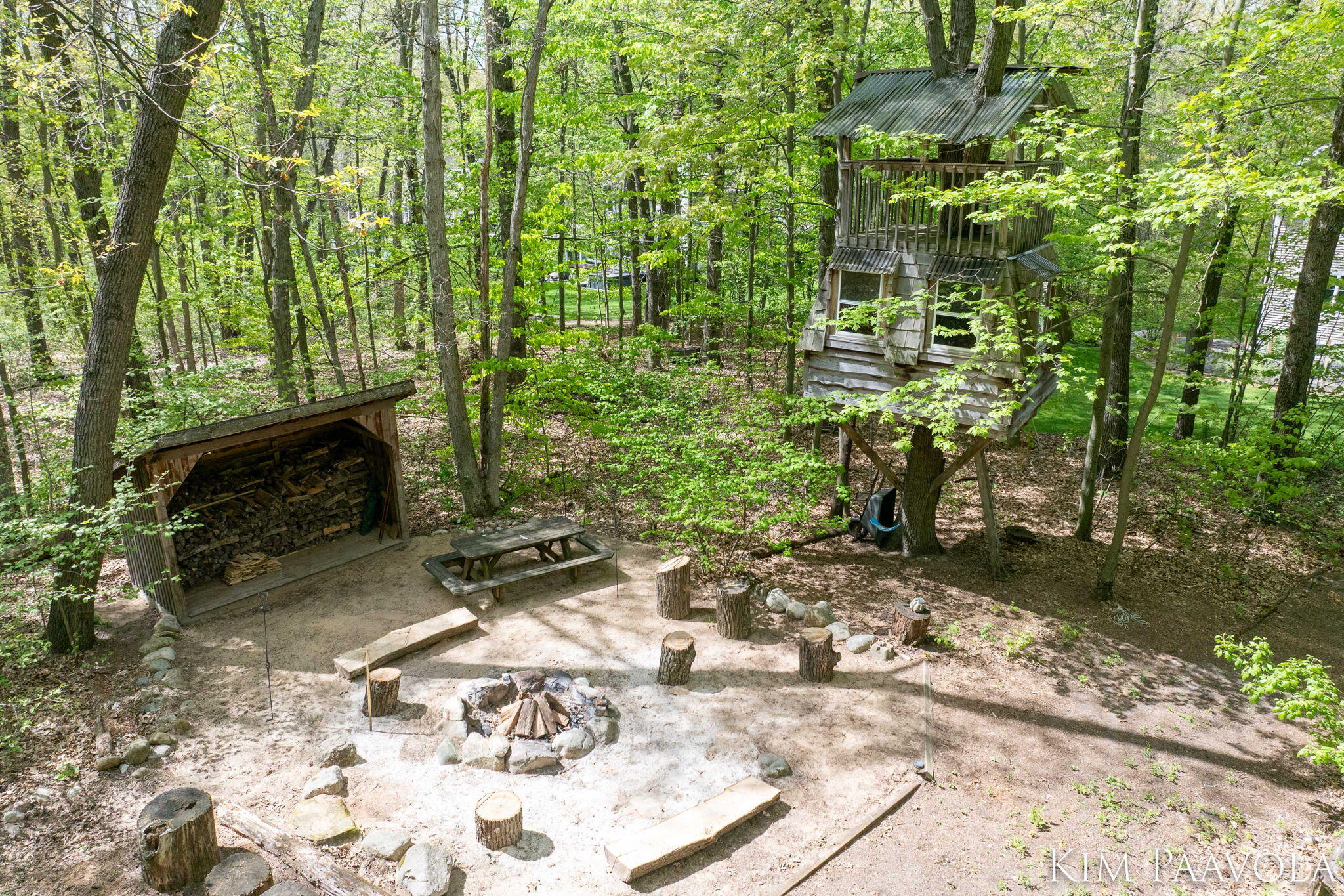 3099 Pickford Drive SE Ada MI 49301