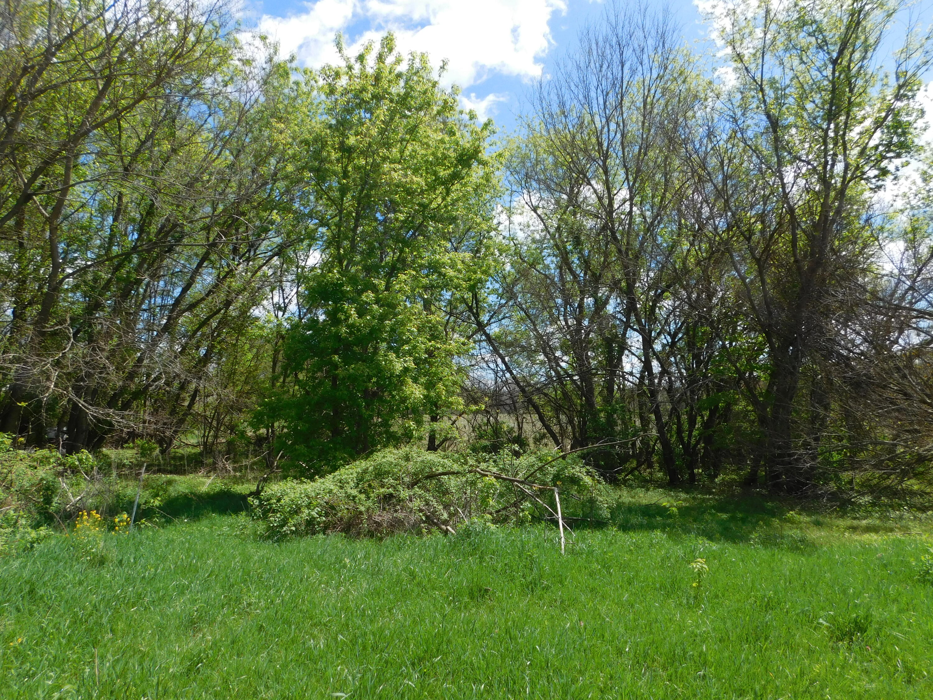 64277 Union Road Vandalia MI 49095