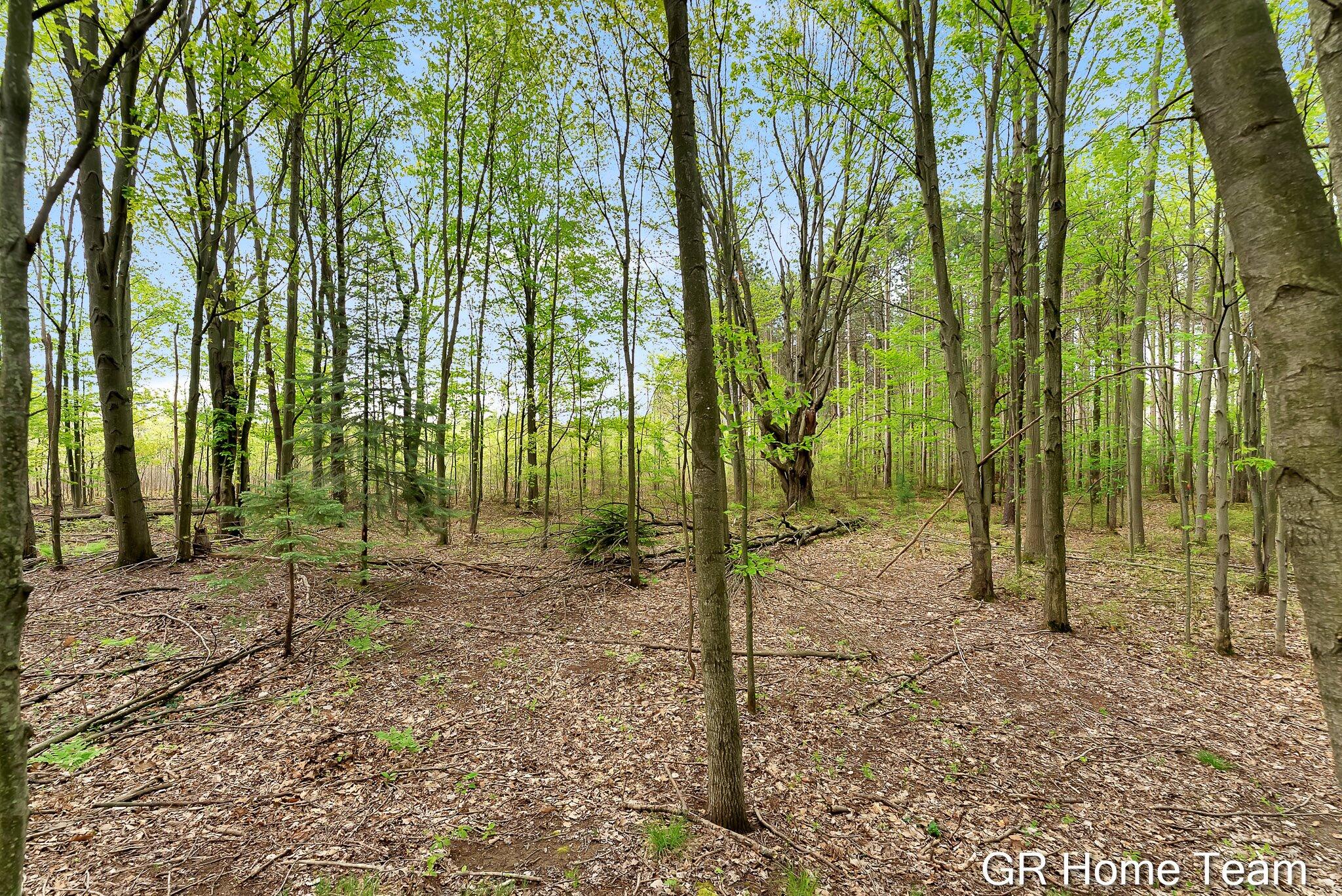 16296 Red Pine Court Holland MI 49424