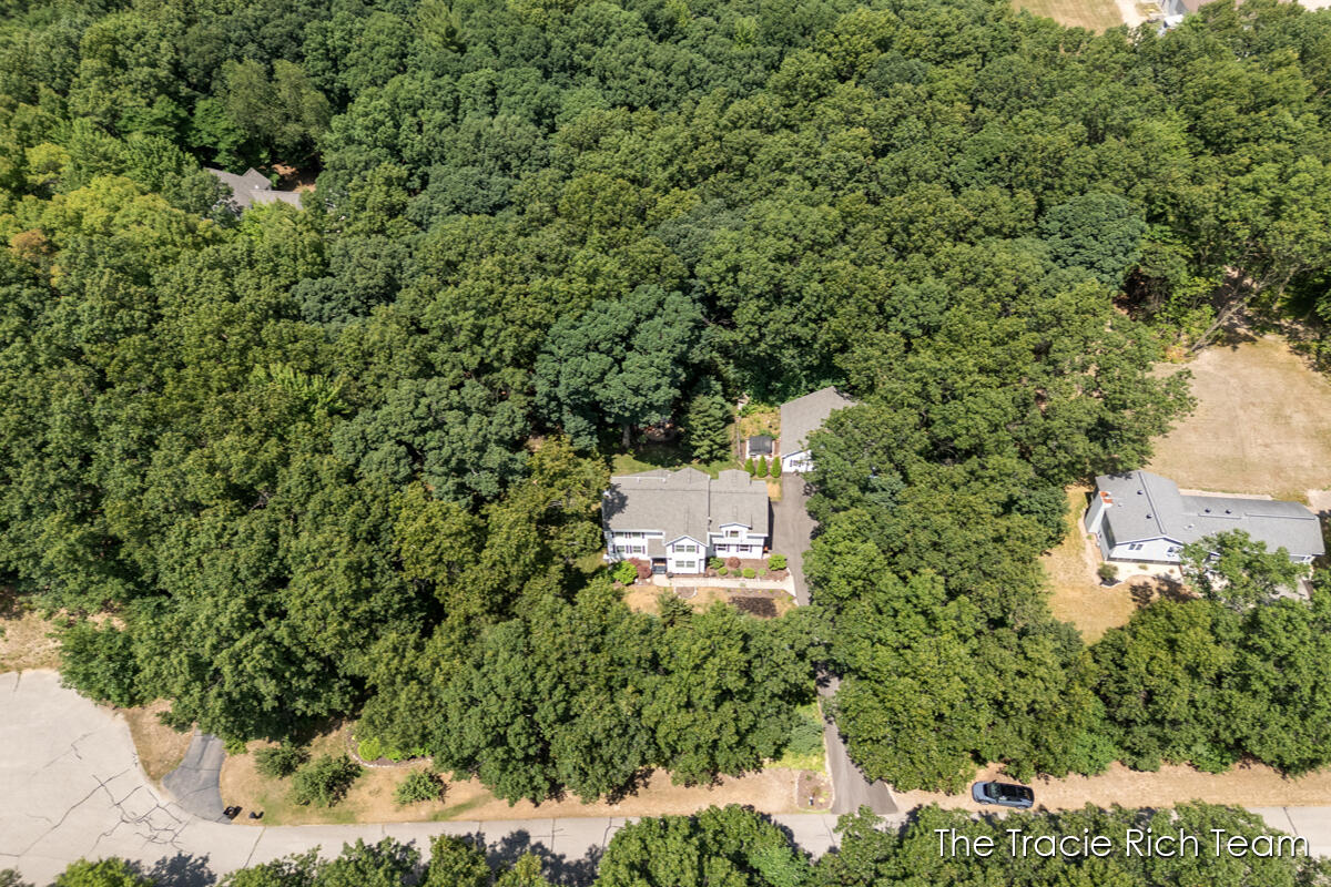 4669 Wood Valley Court NE Rockford MI 49341