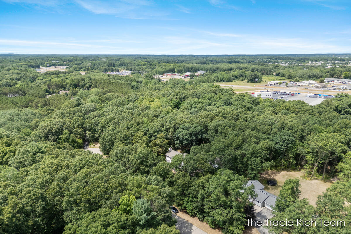 4669 Wood Valley Court NE Rockford MI 49341