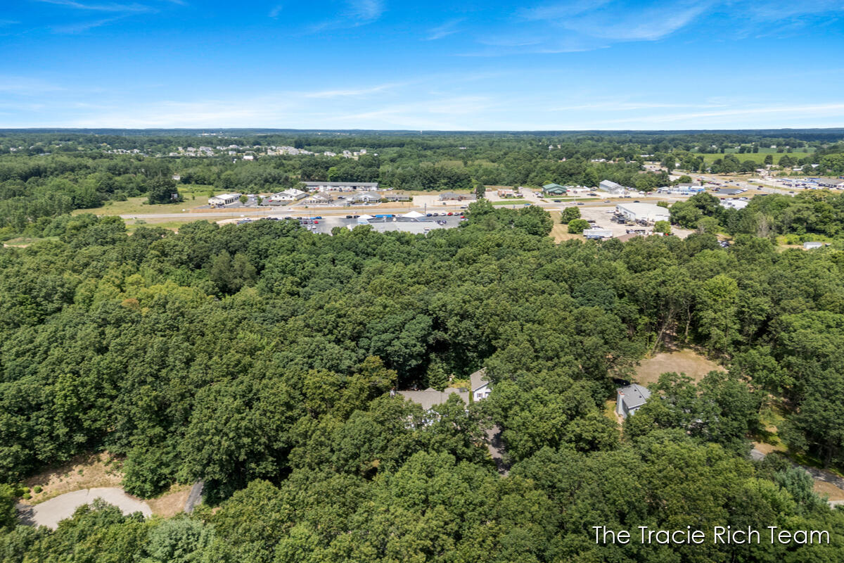 4669 Wood Valley Court NE Rockford MI 49341