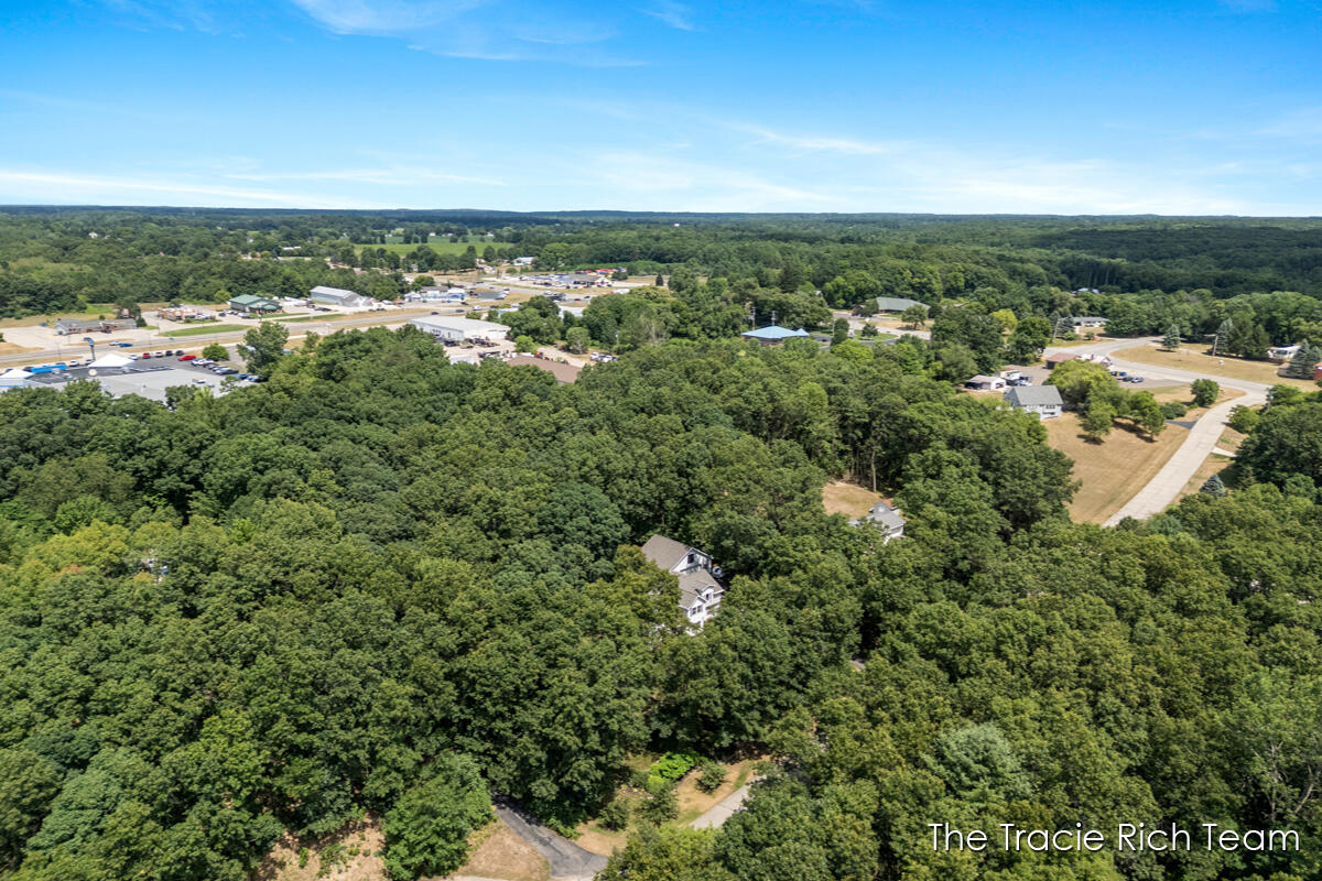 4669 Wood Valley Court NE Rockford MI 49341