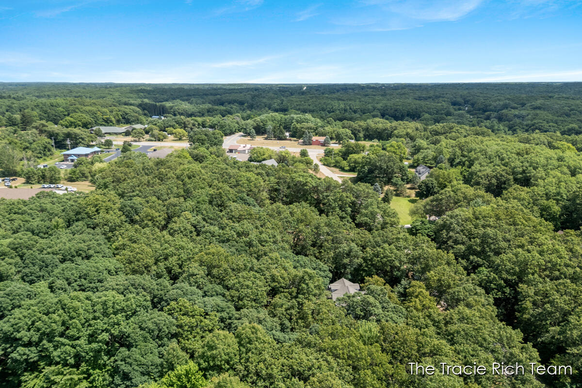 4669 Wood Valley Court NE Rockford MI 49341