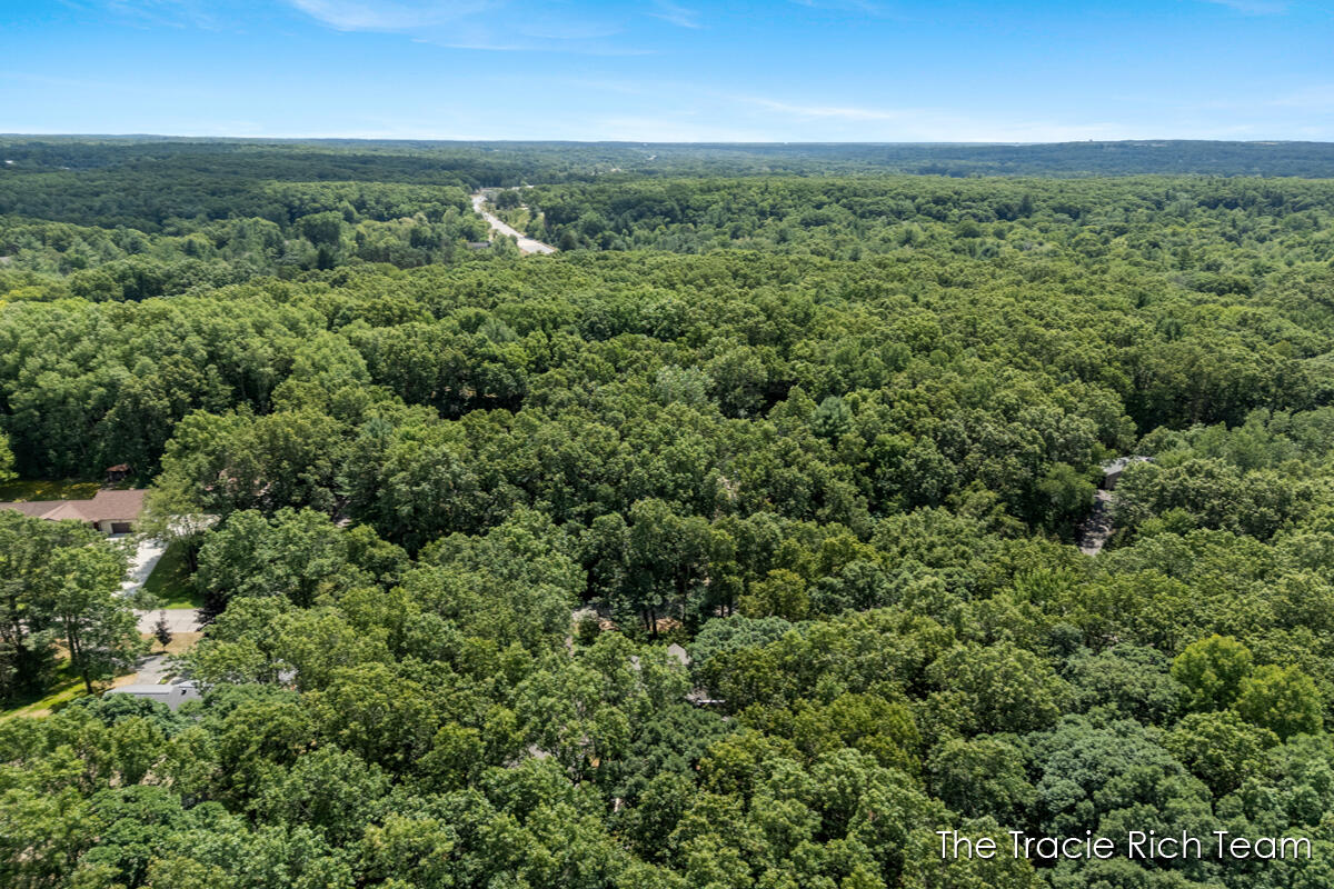 4669 Wood Valley Court NE Rockford MI 49341