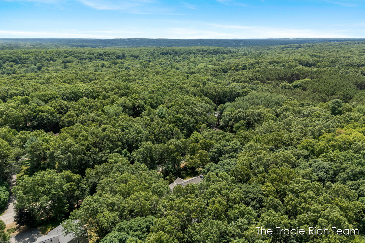 4669 Wood Valley Court NE Rockford MI 49341