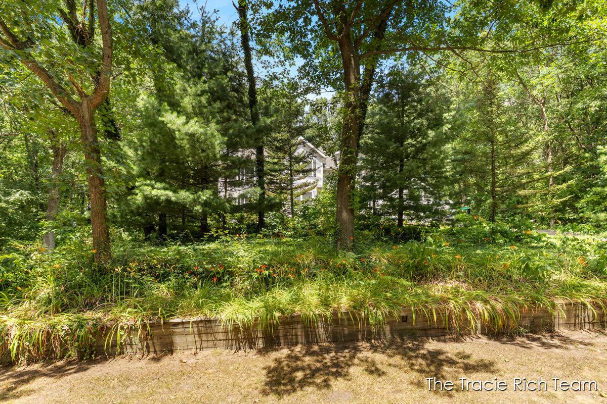 4669 Wood Valley Court NE Rockford MI 49341