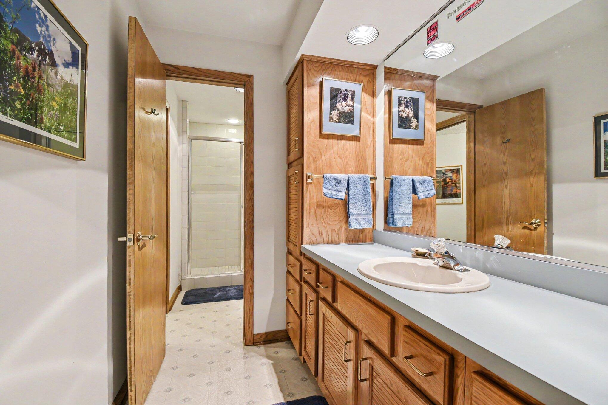 1843 Timber Trail Drive SE Ada MI 49301