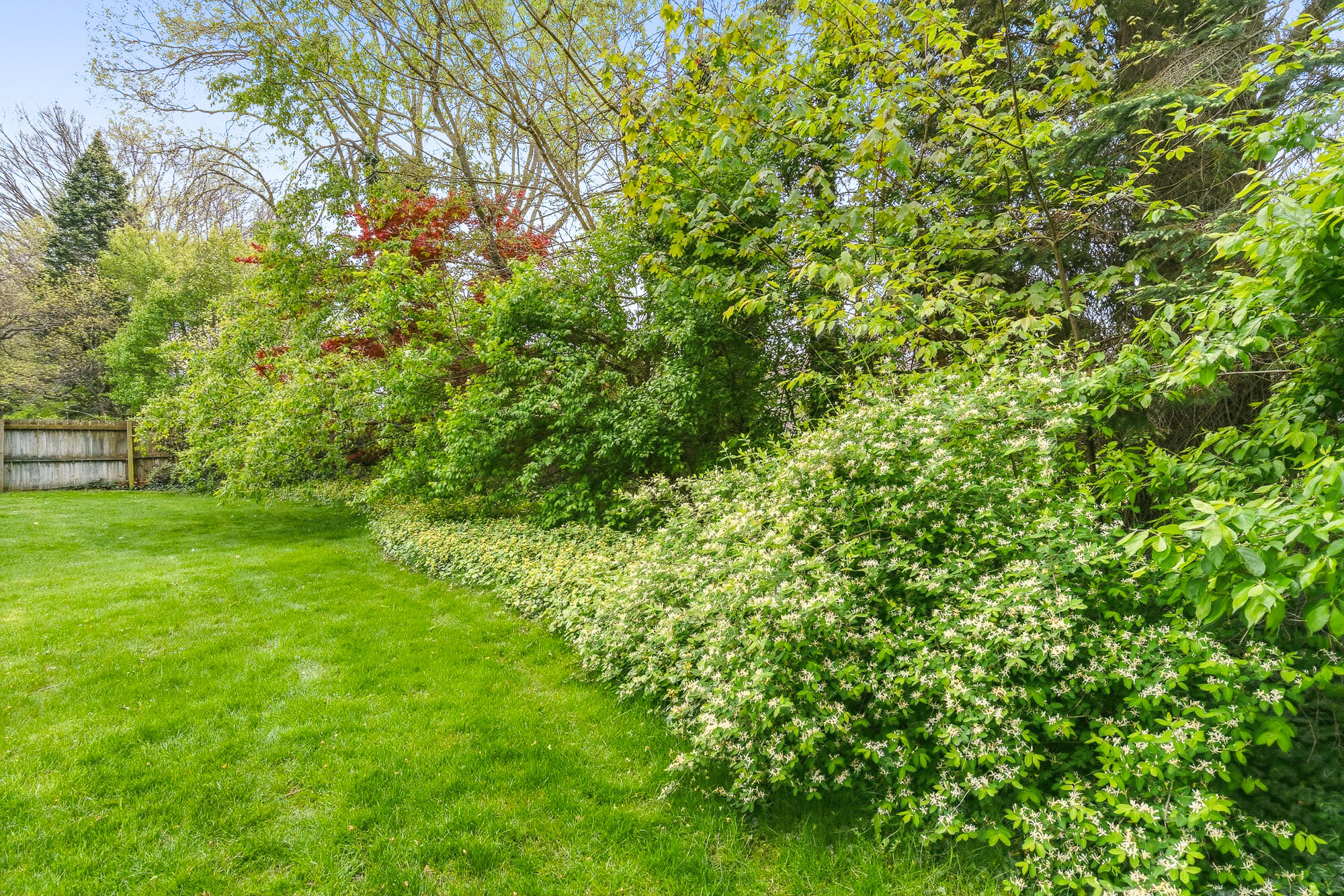 3521 Meadowcroft Avenue Kalamazoo MI 49004