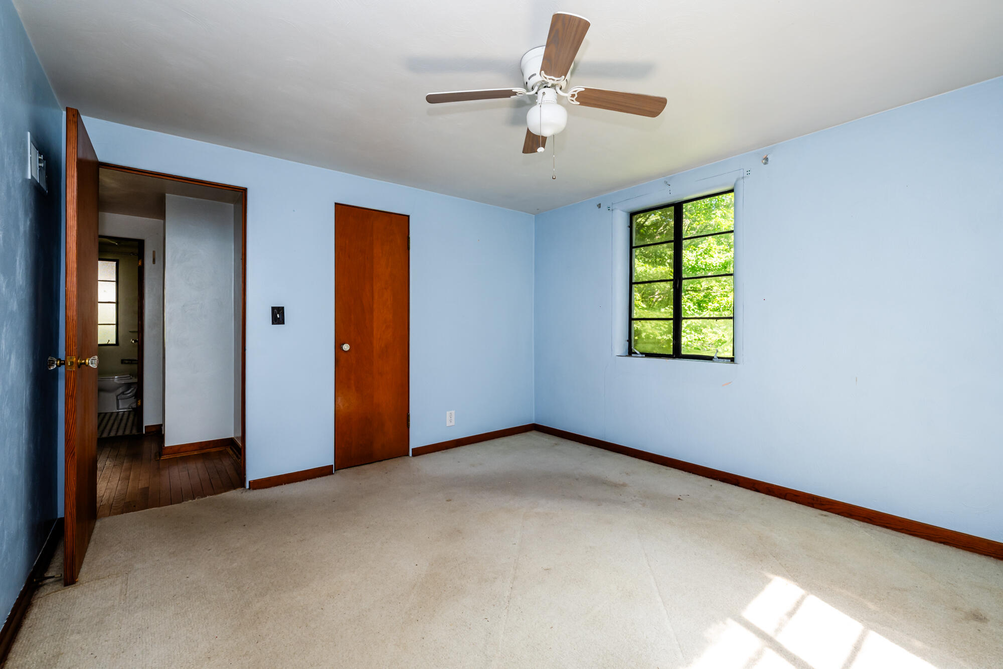 312 W Chicago Street Buchanan MI 49107