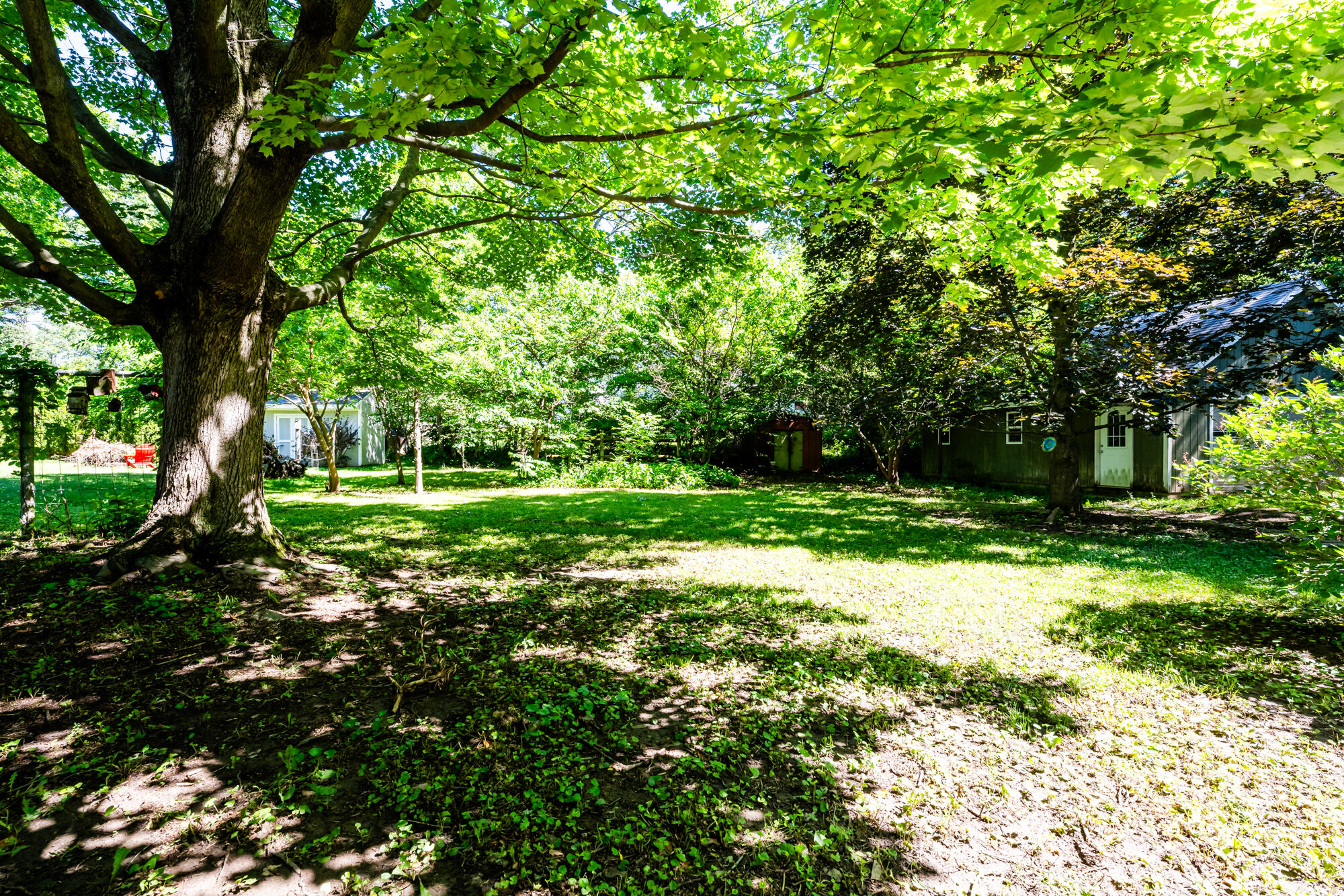 312 W Chicago Street Buchanan MI 49107
