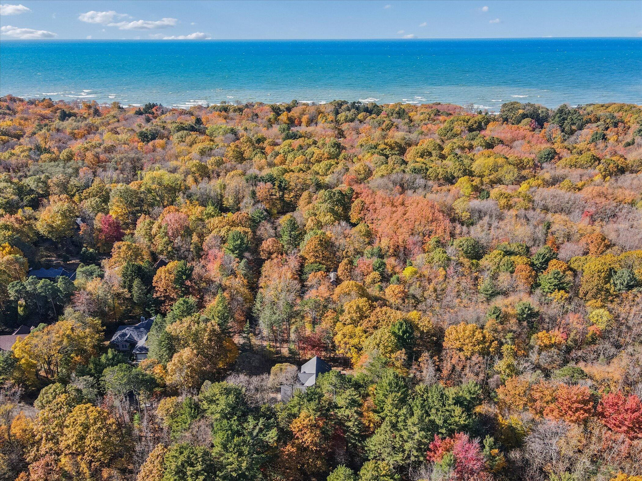 2335 Forest Trail Circle Fennville MI 49408