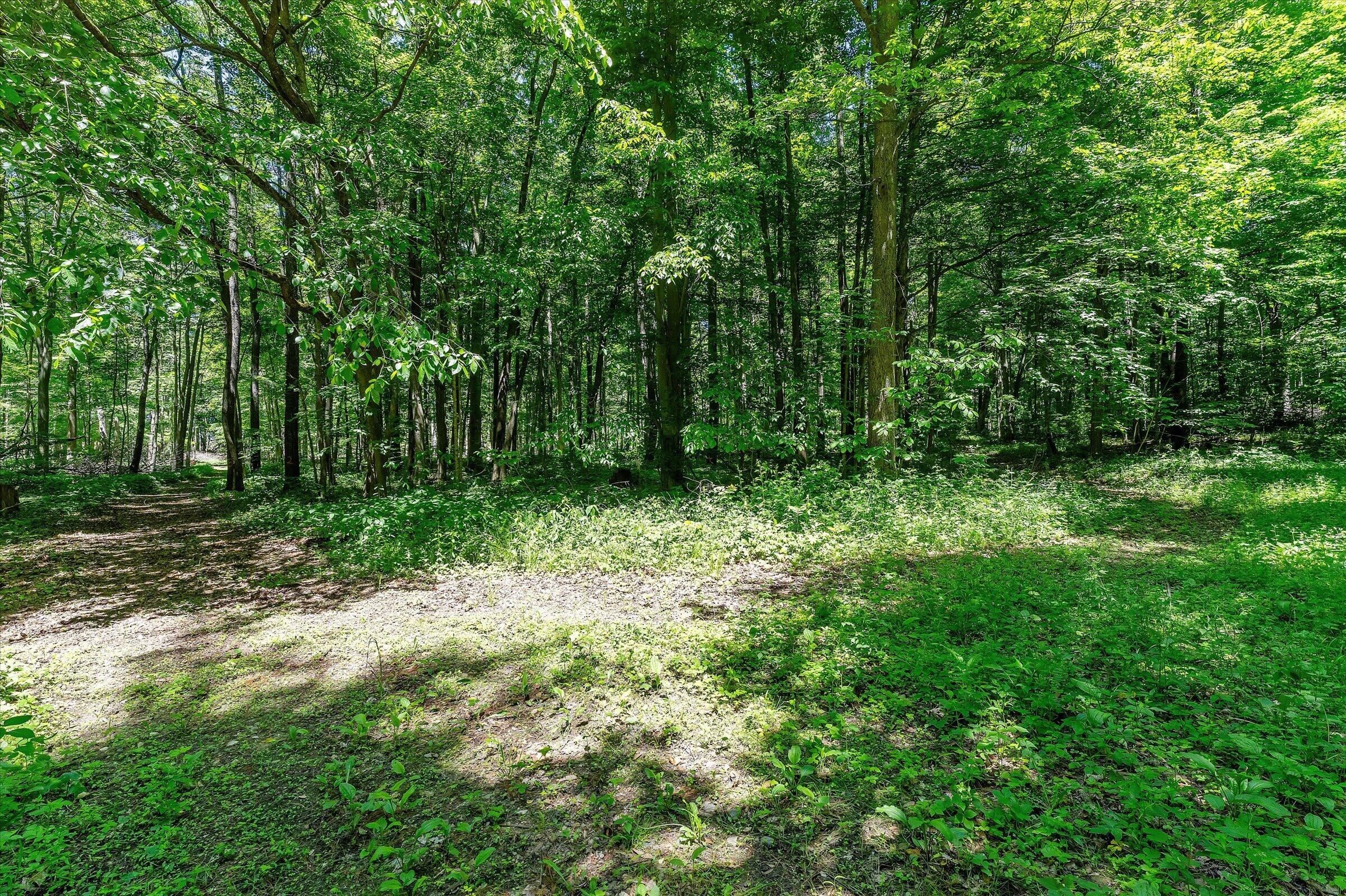 22420 Mckenzie Street Dowagiac MI 49047